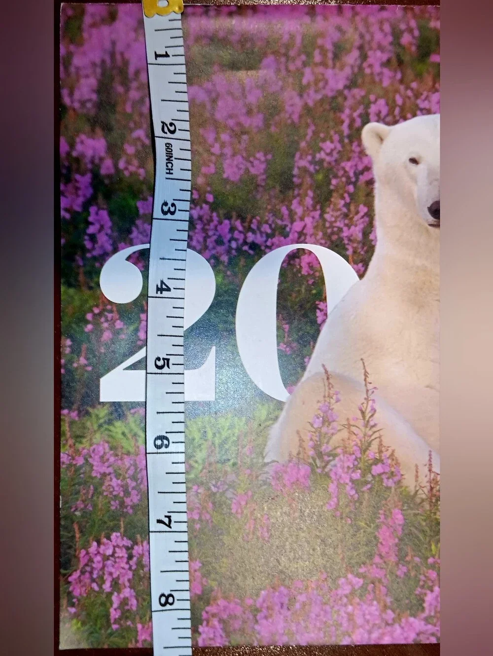 2027 Nature Conservancy Wall Calendar